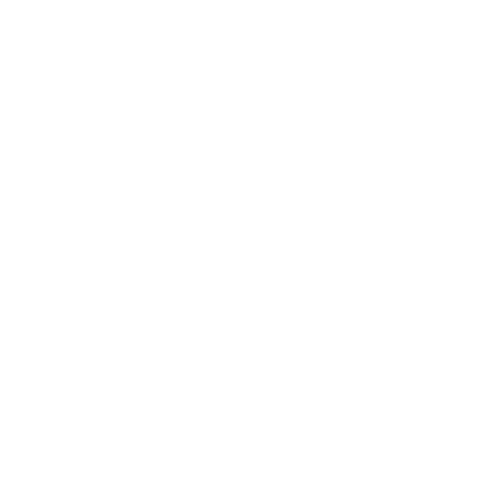 Insert the phone and enjoy